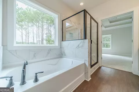 Bath - Undisclosed, Covington, GA 30014 photo 2 of 4