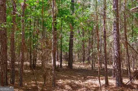 0 Effingham Hwy, Sylvania, GA 30467