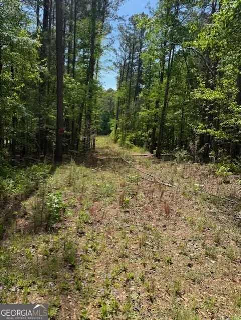 580 Dutchman Rd, Griffin, GA 30223