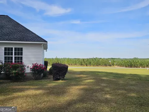 Exterior - 176 Turner Ln, Dudley, GA 31022 photo 5 of 8