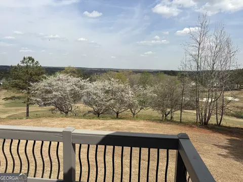 Other - 115 Forest Overlook Dr, Forsyth, GA 31029 photo 6 of 10