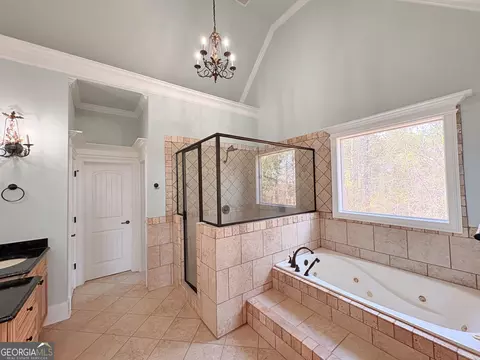 Bath - 115 Forest Overlook Dr, Forsyth, GA 31029 photo 1 of 3