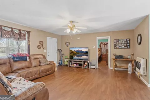 Other - 147 Park Heights St, Buchanan, GA 30113 photo 3 of 5