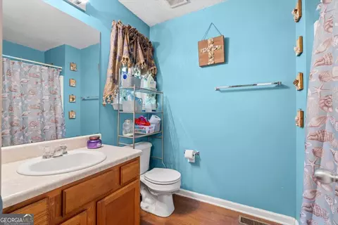 Bath - 147 Park Heights St, Buchanan, GA 30113 photo 2 of 2