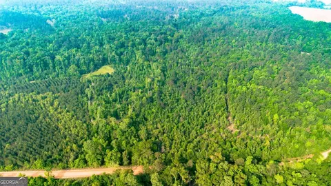 0 Fields Farm Rd, Millen, GA 30442