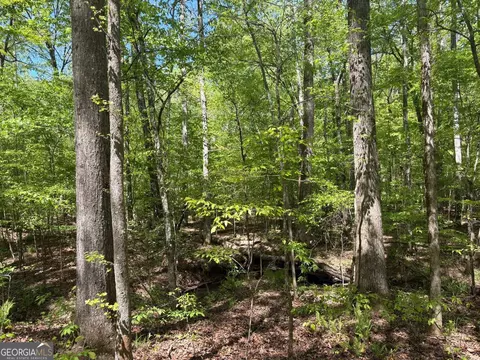 0 Off North Taylor Rd, Woodland, GA 31836