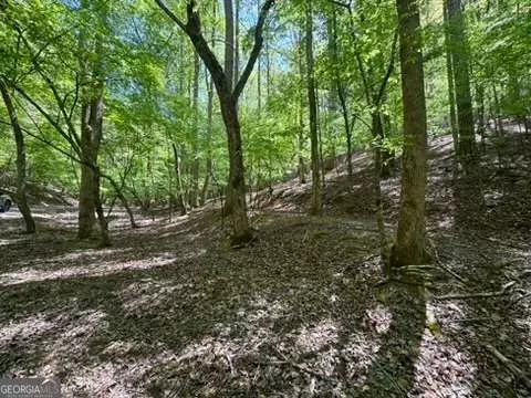 lot1972 Nancy Ct, Ellijay, GA 30540