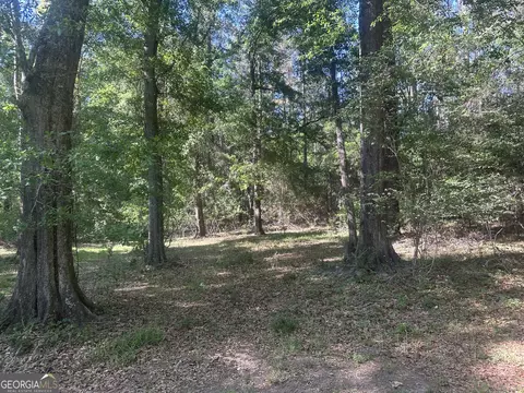 300 Country Club Road Lot 5 Hwy, Sylvania, GA 30467