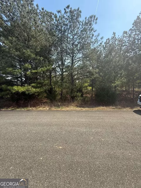 14 Russler Way, Rydal, GA 30171