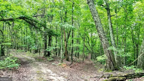 Trt A Cascade Drive, Jasper, GA 30143 photo 3