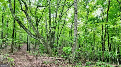 Trt A Cascade Drive, Jasper, GA 30143 photo 7