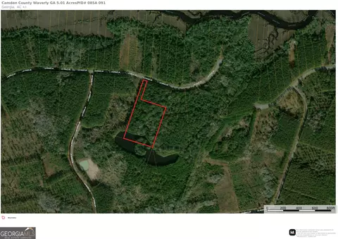 5 01 Acres La Sole Ln, Waverly, GA 31565