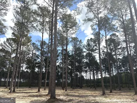 T1 Dc Hardie Road, Gordon, GA 31031