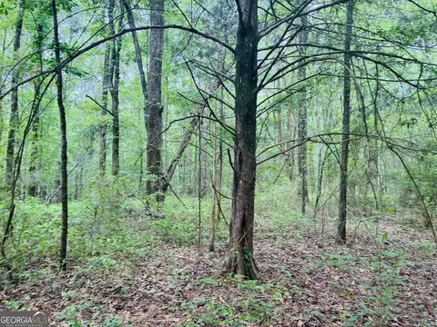 0 Wall St #TRACT B, Tallassee, AL 36078