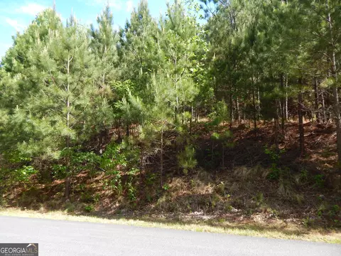 APT 361 The Cove At Thirteen Hundred, Young Harris, GA 30582