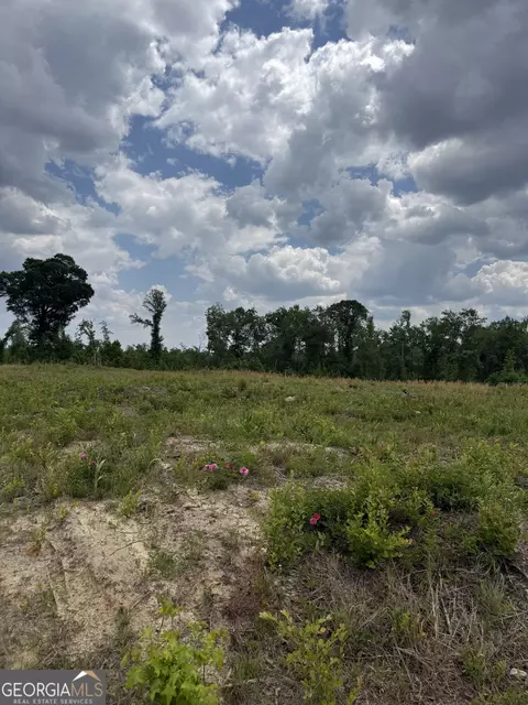 0 J D Williams Rd, Cadwell, GA 31009