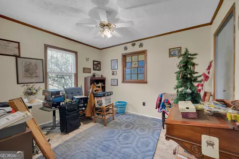 Other - 1894 Athens Rd, Carnesville, GA 30521 photo 7 of 18
