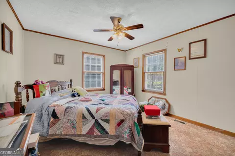 Other - 1894 Athens Rd, Carnesville, GA 30521 photo 10 of 18