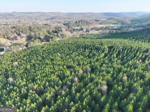 91 Acres On Fosters Mill Rd, Cave Spring, GA 30124