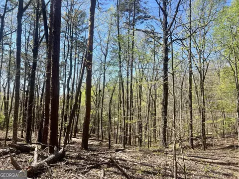 lot93 Doll Mountain Rd, Ellijay, GA 30540