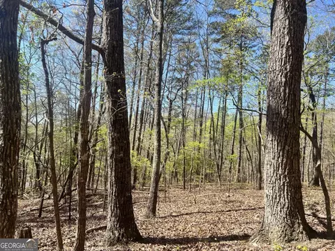 lot92 Doll Mountain Rd, Ellijay, GA 30540