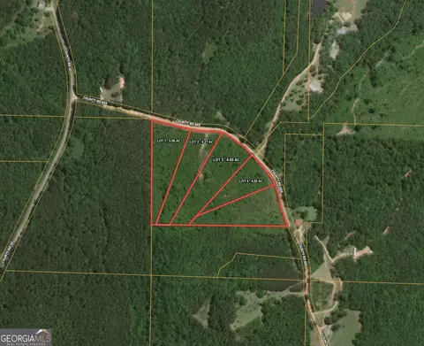 0 W County Road 655 #LOT 3, Roanoke, AL 36274