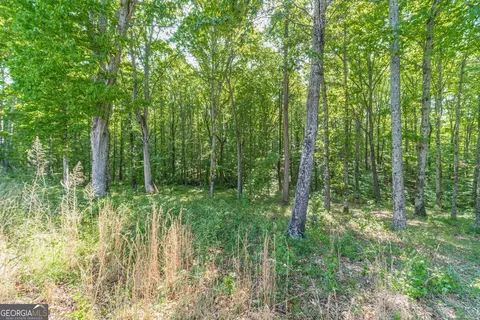 Other - 2124 Stonegate Way, Monroe, GA 30656 photo 10 of 12