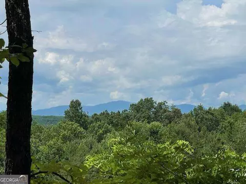 19 25 Ac Old Hwy 76, Morganton, GA 30560