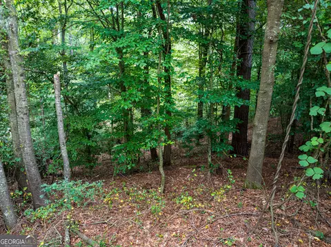 8 2 Acres Roy Parks Rd, Talmo, GA 30575 photo 19
