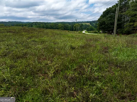 8 2 Acres Roy Parks Rd, Talmo, GA 30575 photo 20