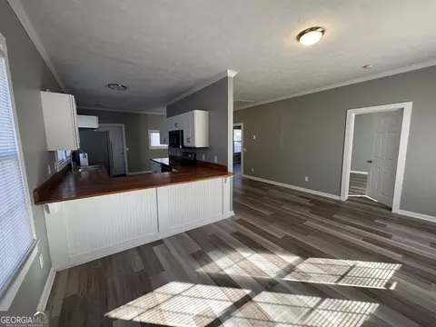 288 N Lanier, Lyons, GA 30436 photo 2
