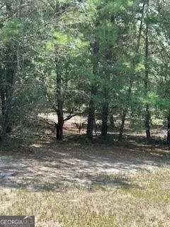 457 Garden Cr, Collins, GA 30421 photo 3