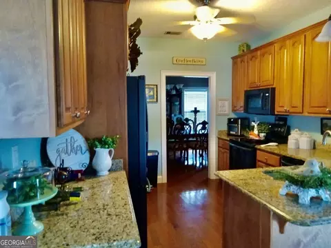 247 Darrell Thompson Rd, Lyons, GA 30436 photo 6