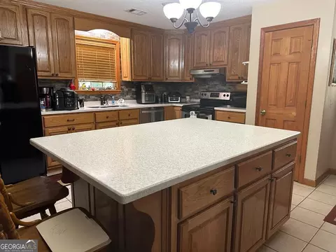 258 Mathis Rd, Hazlehurst, GA 31539 photo 4