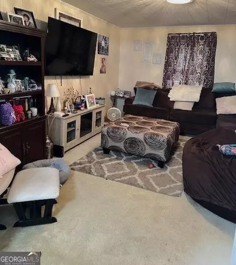 225 Cone St, Ailey, GA 30410 photo 8
