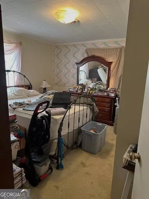 225 Cone St, Ailey, GA 30410 photo 16