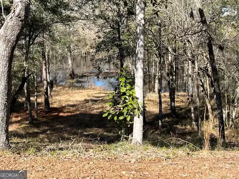121 Black River Ln, Collins, GA 30421 photo 32