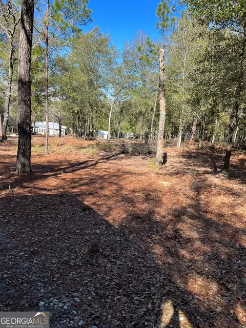 121 Black River Ln, Collins, GA 30421 photo 37