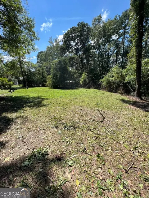 1197 Dead River Rd, Uvalda, GA 30473 photo 34
