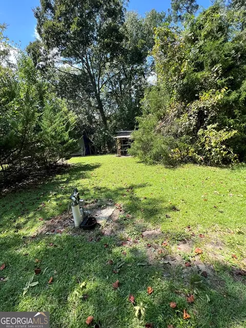 1197 Dead River Rd, Uvalda, GA 30473 photo 35