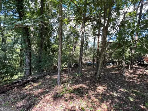 1197 Dead River Rd, Uvalda, GA 30473 photo 33