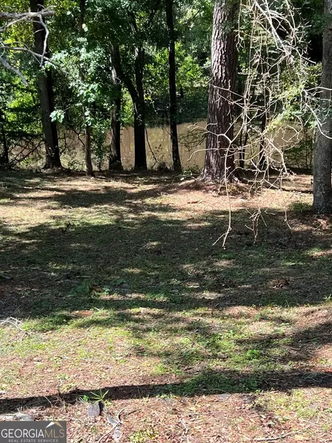 1197 Dead River Rd, Uvalda, GA 30473 photo 32