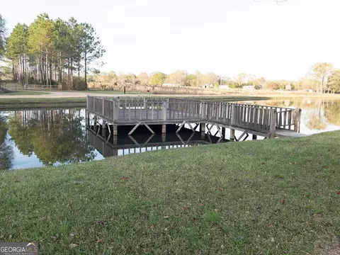 335 Geron Williamson Rd, Lyons, GA 30436 photo 10