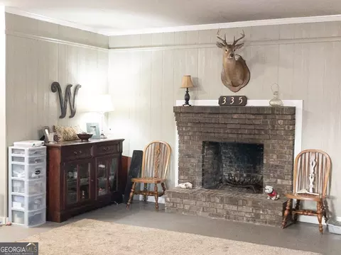 335 Geron Williamson Rd, Lyons, GA 30436 photo 34