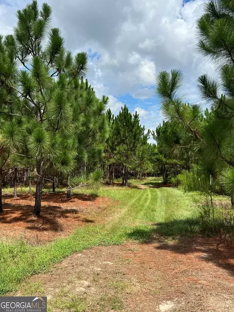 840 W Main St, Uvalda, GA 30473 photo 55