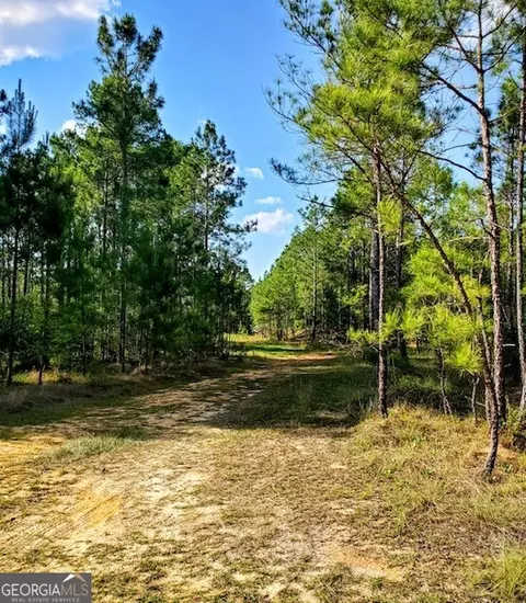 770 Collins Rd, Lyons, GA 30436 photo 28