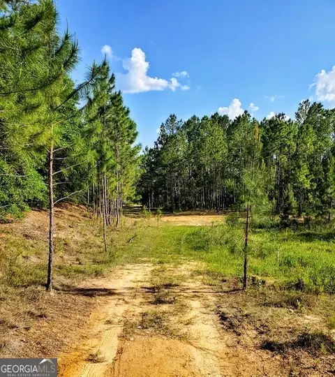 770 Collins Rd, Lyons, GA 30436 photo 29