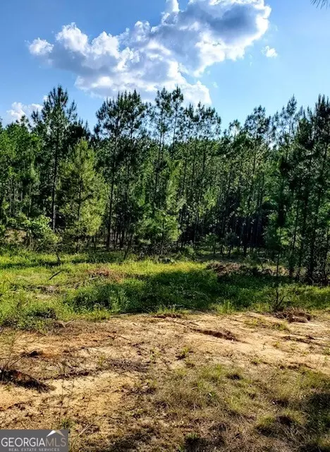 770 Collins Rd, Lyons, GA 30436 photo 30