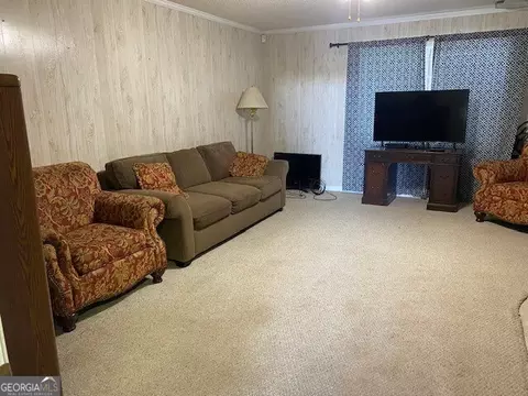 1025 Braddy Rd, Ailey, GA 30410 photo 60