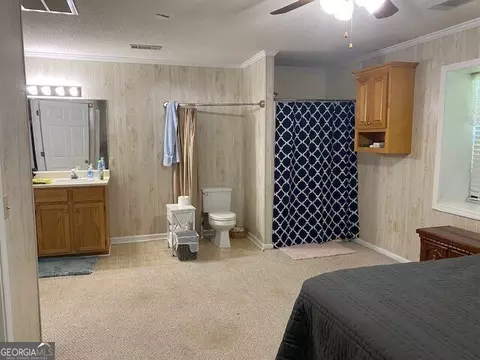 1025 Braddy Rd, Ailey, GA 30410 photo 62